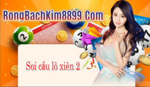 soi-cau-xien-2-rong-bach-kim-8899