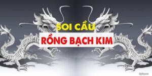 soi-cau-rong-bach-kim-188