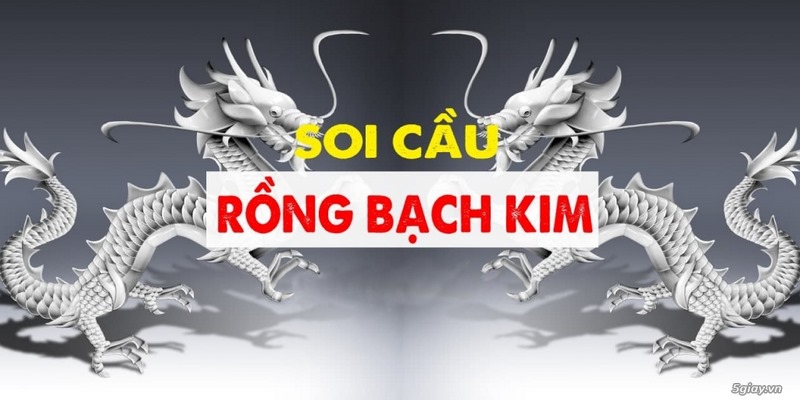 soi-cau-rong-bach-kim-188
